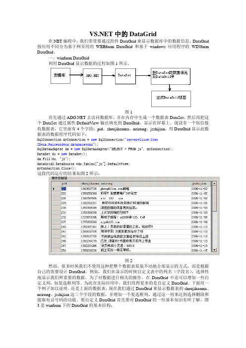 vb net中datagrid的使用