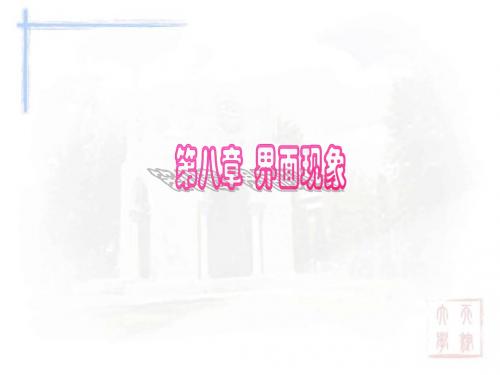 第八章+界面化学