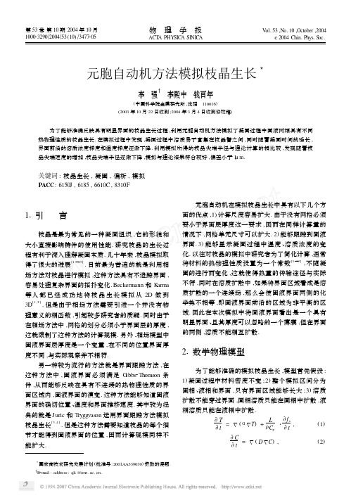 元胞自动机方法模拟枝晶生长 2004