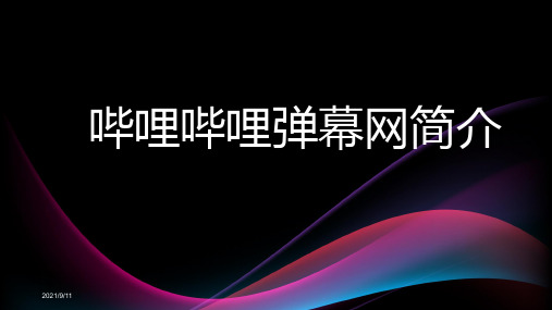 哔哩哔哩弹幕网简介PPT模板