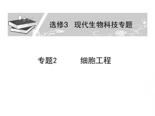 生物高考一轮复习课件：选修3 细胞工程