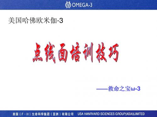 09-omega-3 点线面培训技巧()