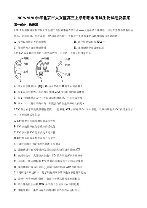 2019-2020学年北京市大兴区高三上学期期末考试生物试卷及答案