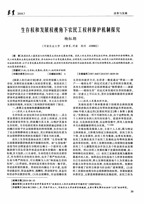 生存权和发展权视角下农民工权利保护机制探究