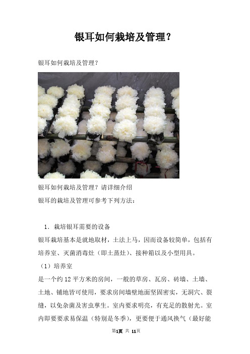 银耳如何栽培及管理？