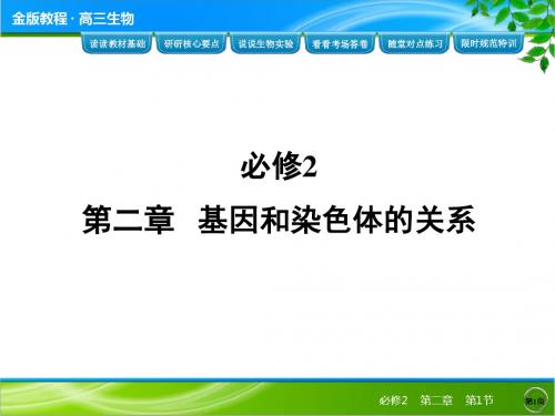 减数分裂第一轮复习课件-精品文档