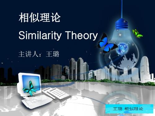 相似理论王璐2013452059