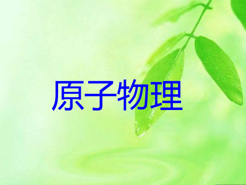 原子物理 PPT课件