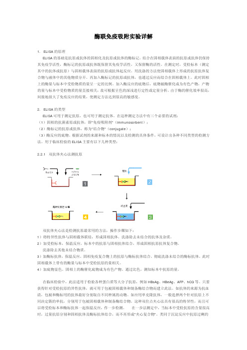 酶联免疫吸附实验详解