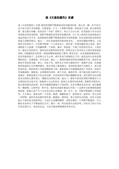 观《天堂的颜色》有感