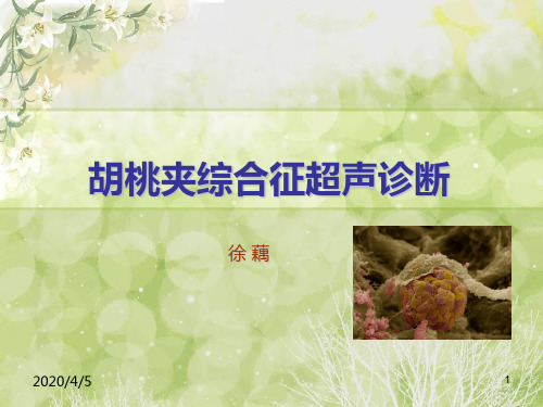 胡桃夹综合征