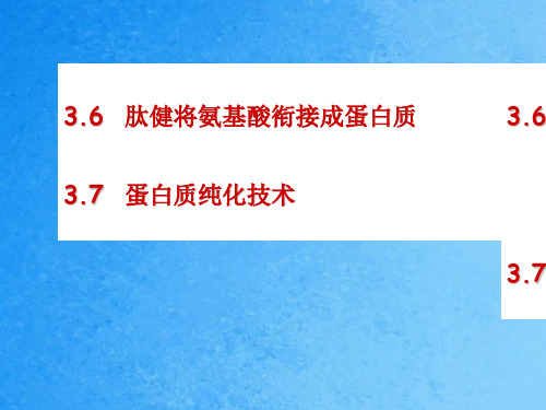 [研究生入学考试]吉林大学生命科学学院生物化学ppt课件