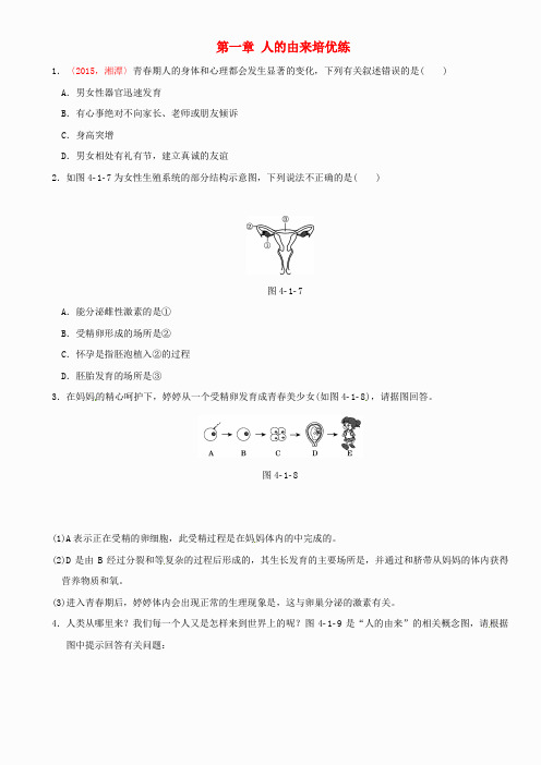 【点拨中考】2017版中考生物 考点梳理 第四单元 第一章 人的由来培优练 新人教版