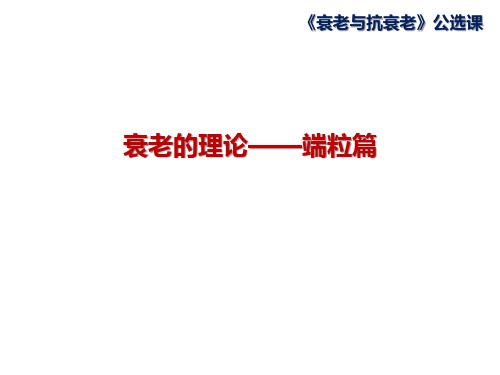 衰老的理论-端粒篇
