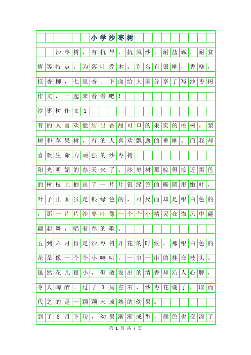 2019年小学作文沙枣树