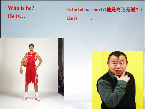 冀教版七上lesson15 tall or short(精品课件).ppt
