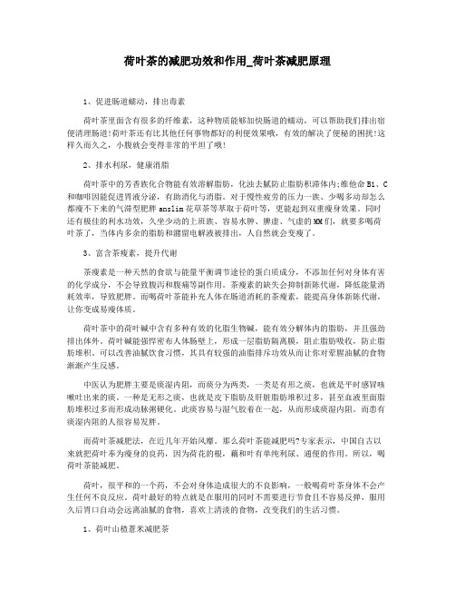 荷叶茶的减肥功效和作用_荷叶茶减肥原理