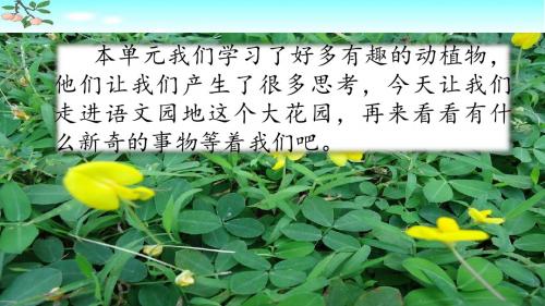 部编人教版五年级语文上册《语文园地一》优秀PPT课件