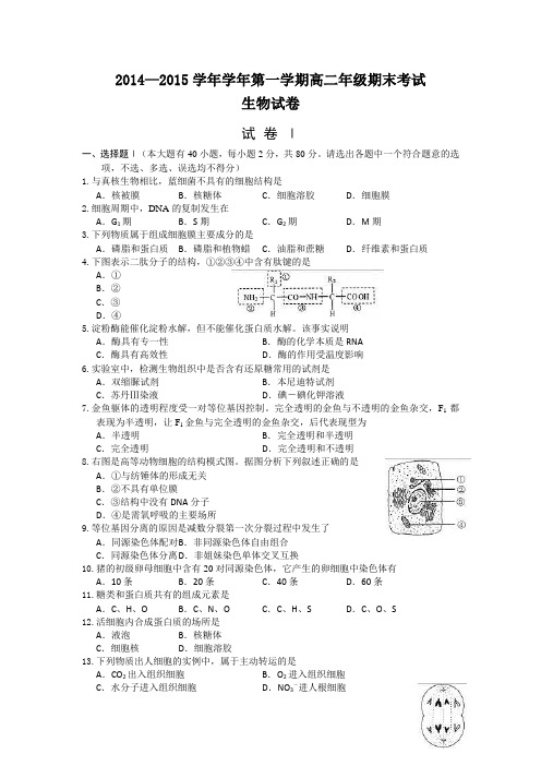 2014—2015学年学年第一学期高二年级期末考试生物试卷