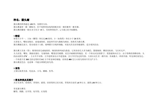 猫头鹰及其常见种类图片