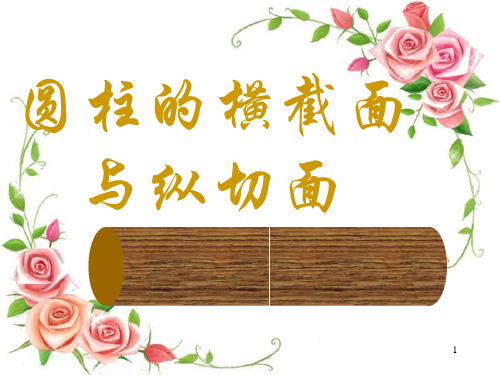 5圆柱的横截面和纵切面ppt课件