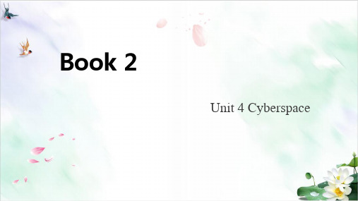 必修二UnitCyberspace北师大版高考英语词汇插册复习ppt