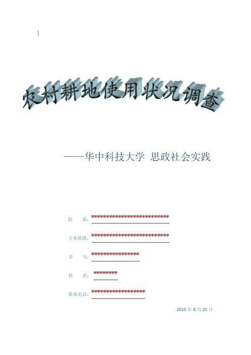 华中科技大学-思政社会实践