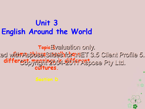 九年级英语上册 Unit 3 English around the World Topic 2 Some things usually have different meanings i