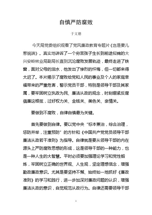 反腐倡廉教育片观后