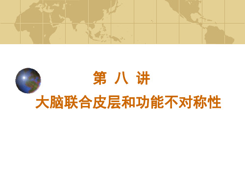 第八讲 大脑联合皮层和功能一侧化