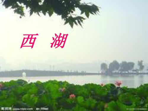 西湖课件