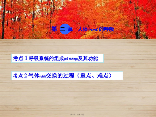 中考生物 考点梳理 第四单元 第三章 人体的呼吸课件