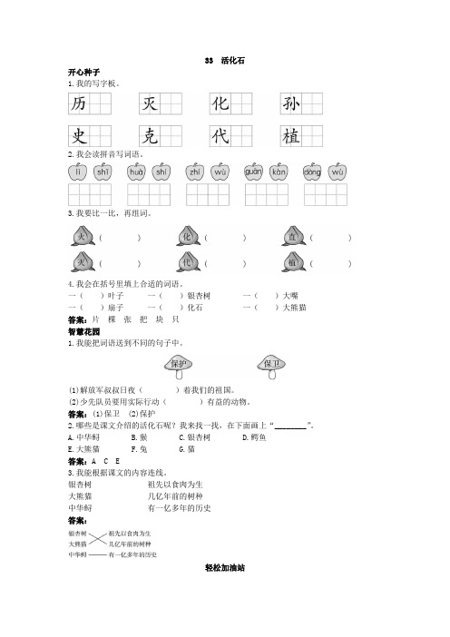二年级语文 优化练习 第33课活化石试题及答案