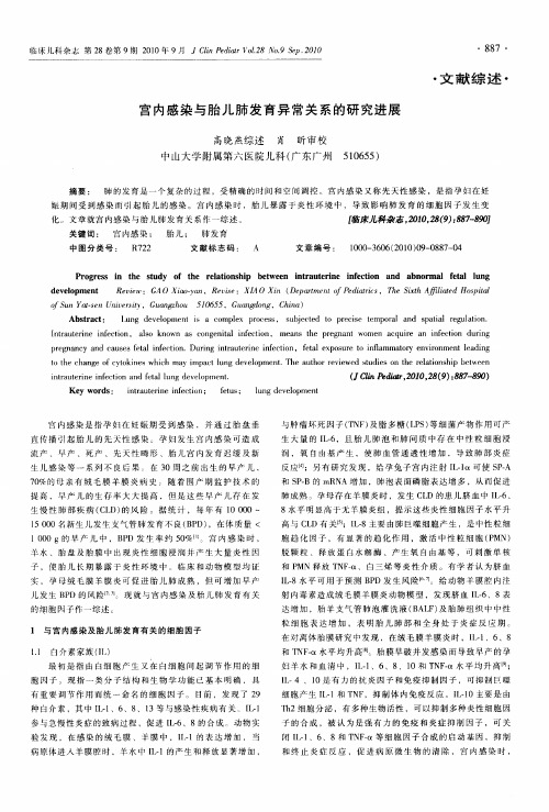 宫内感染与胎儿肺发育异常关系的研究进展