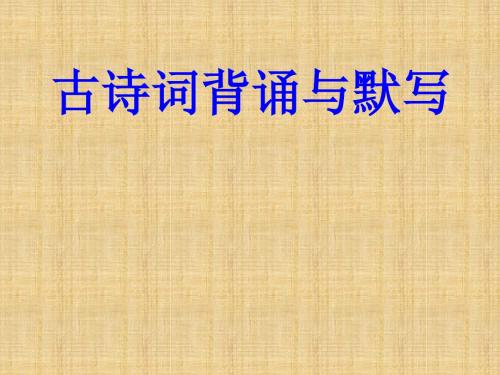 2018届中考语文知识点专项复习课件5