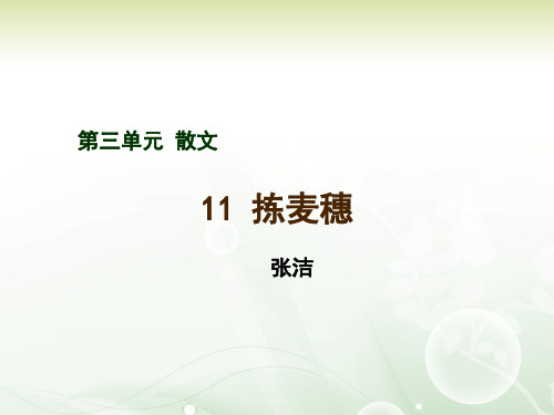 《拣麦穗》 课件 