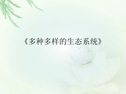 鲁科版生物六年级上册1.2.4《多种多样的生态系统》ppt课件2