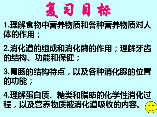 苏科版七上《人体对食物的消化和吸收》ppt课件
