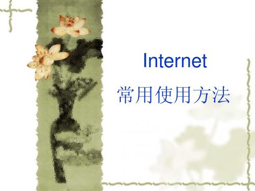 Internet技术