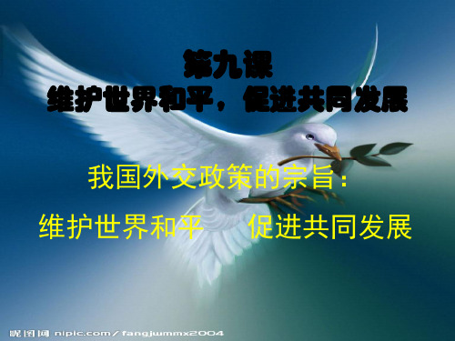 新人教版高中思想政治必修2《我国外交政策的宗旨：维护世界和平 促进共同发展》精品课件