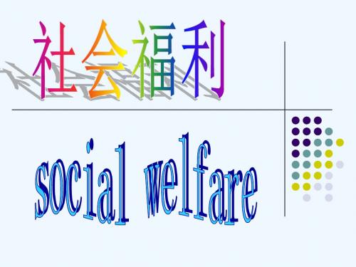 社会福利比较