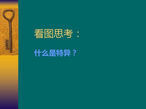 平面构成之特异构成形式