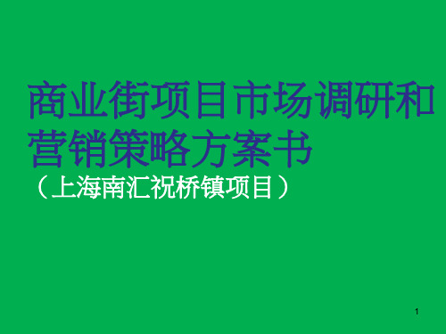 商业街项目市场调研报告和营销策略方案书(经典模板)