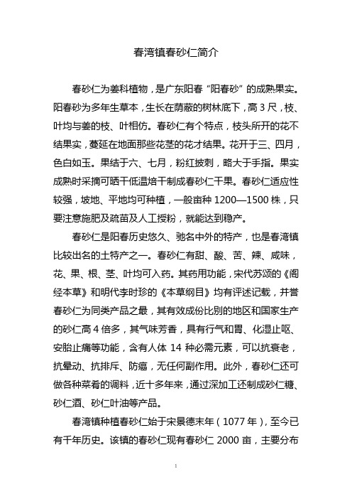 春砂仁