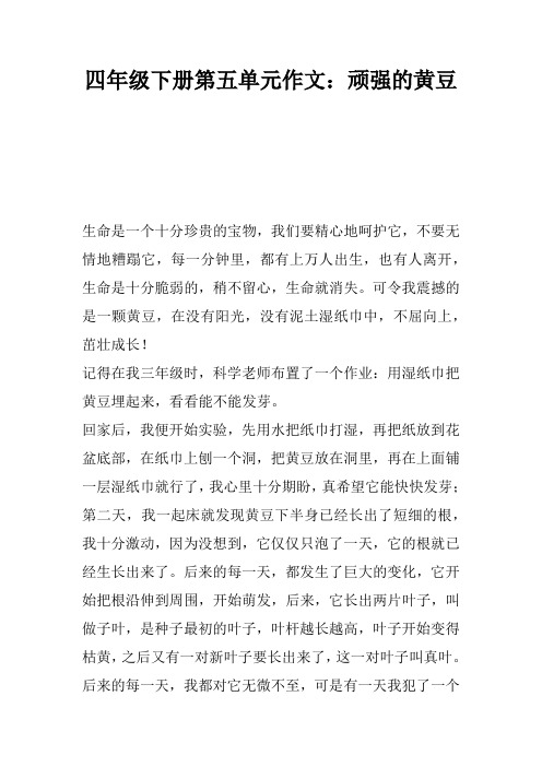 四年级下册第五单元作文：顽强的黄豆