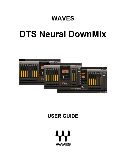 Waves DTS Neural DownMix用户指南说明书