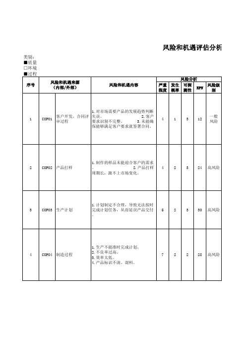 风险和机遇清单