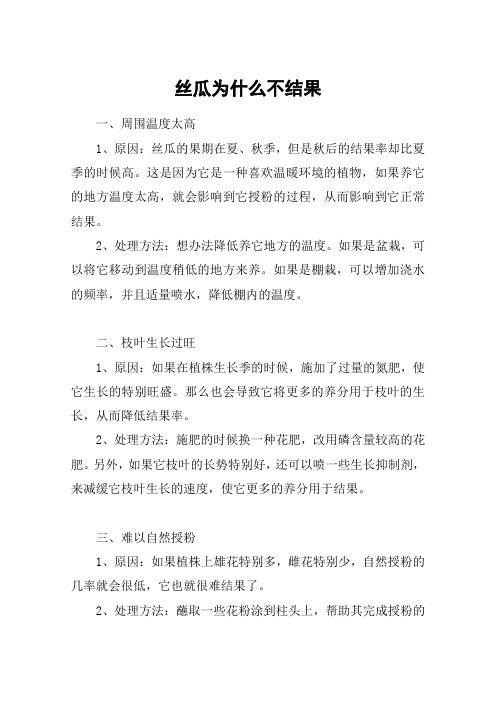 丝瓜为什么不结果