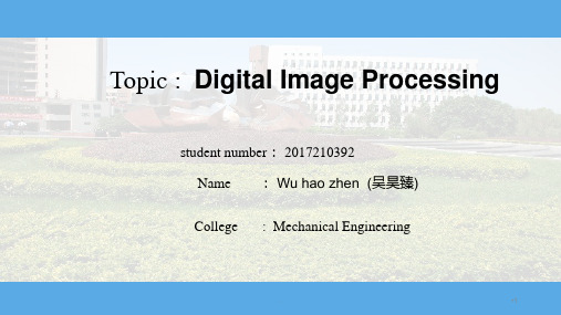 英语presentationPPT课件