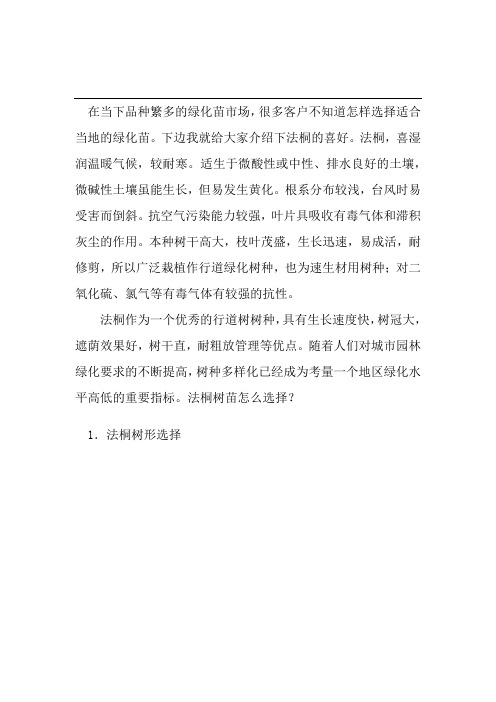 法桐的生长习性及选苗标准：